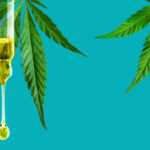 Best CBD strains to grow web banner