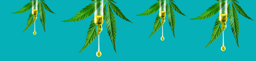 Best CBD strains to grow web banner