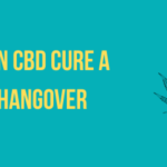 Can CBD cure a hangover?