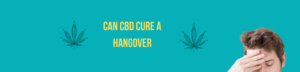 Can CBD cure a hangover?